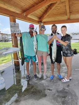 King Mackerel / Kingfish fishing in Jacksonville, Florida