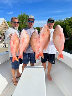 Mutton Snapper Fishing in Layton Key, Florida