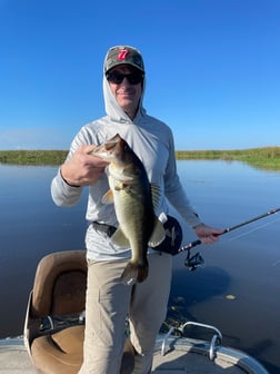 Largemouth Bass Fishing in Lake Okeechobee, Florida