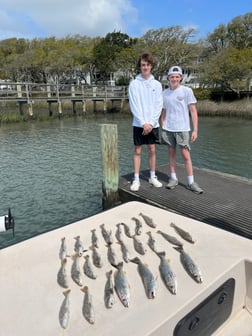 Sheepshead Fishing in Beaufort, North Carolina