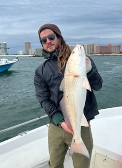 Redfish Fishing in Orange Beach, Alabama