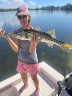 Kingfish Fishing in Sarasota, Florida