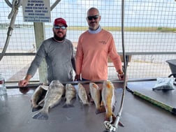 Black Drum, Flounder, Redfish, Speckled Trout Fishing in Palacios, Texas