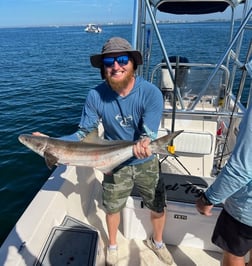 Kingfish Fishing in Sarasota, Florida