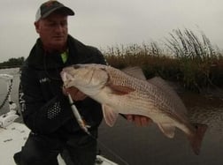 Redfish Fishing in Jacksonville, Florida