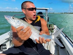 Bonefish fishing in Islamorada, Florida