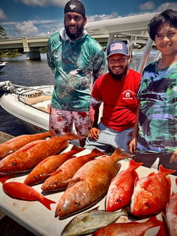 Amberjack, Mangrove Snapper, Red Snapper fishing in Pensacola, Florida