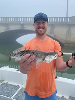 Black Drum Fishing in Galveston, Texas