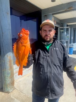 Rockfish Fishing in Oxnard, California