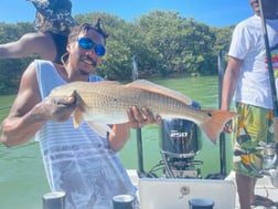 Redfish fishing in Clearwater, Florida