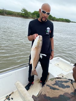 Redfish Fishing in Port Arthur, Texas