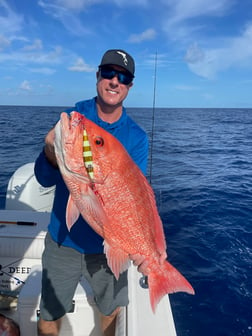 Bluefin Tuna fishing in Sarasota, Florida