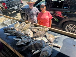 Sheepshead, Speckled Trout / Spotted Seatrout Fishing in Yscloskey, Louisiana