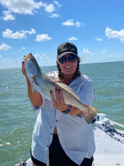 Speckled Trout / Spotted Seatrout fishing in Ingleside, Texas