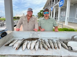 Sheepshead fishing in Galveston, Texas