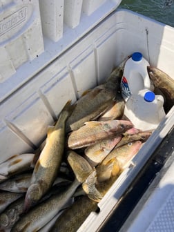 Fishing in Oak Harbor, Ohio