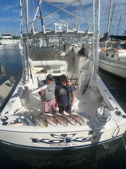 Amberjack, Kingfish, Mutton Snapper, Skipjack Tuna Fishing in Key West, Florida