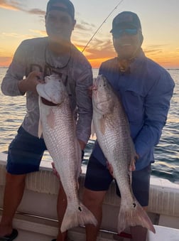 Redfish fishing in Galveston, Texas