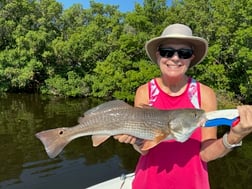 Fishing in St. Petersburg, Florida