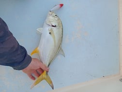 Fishing in Melbourne, Florida