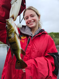 Largemouth Bass Fishing in Fort Lauderdale, Florida