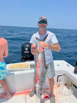 Cobia Fishing in Hatteras, North Carolina