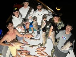 Cubera Snapper Fishing in Clearwater, Florida