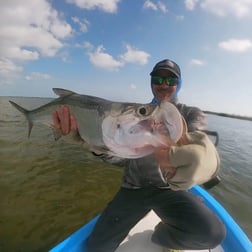 Tarpon Fishing in Cancún, Quintana Roo