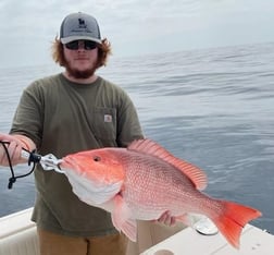 Cobia Fishing in Charleston, South Carolina