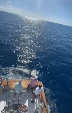 Fishing in Key Largo, Florida