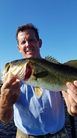 Peacock Bass Fishing in Fort Lauderdale, Florida