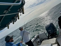 Spanish Mackerel Fishing in Wilmington, North Carolina