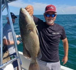 Snook fishing in St. Petersburg, Florida