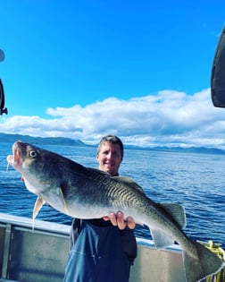 Cod Fishing in Kodiak, Alaska