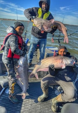 Blue Catfish Fishing in Dallas, Texas