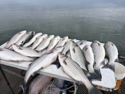 Fishing in Burnet, Texas