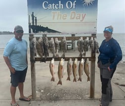 Black Drum, Redfish Fishing in Rockport, Texas