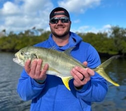 Jack Crevalle Fishing in Sarasota, Florida