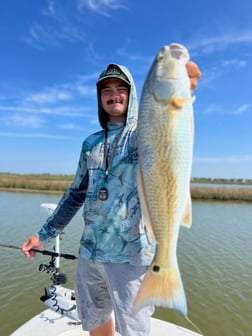 Redfish Fishing in Galveston, Texas