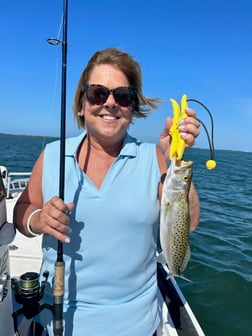 Redfish Fishing in Clearwater, Florida