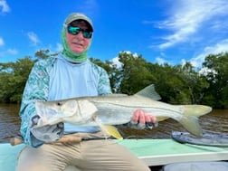 Mangrove Snapper Fishing in Homestead, Florida