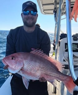 Red Snapper Fishing in Clearwater, Florida