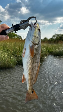 Redfish Fishing in Santa Rosa Beach, Florida