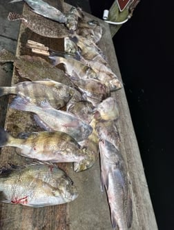 Fishing in Aransas Pass, Texas