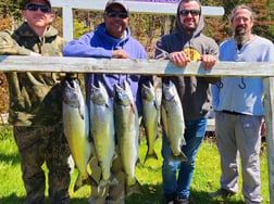 Brown Trout, Chinook Salmon Fishing in Verona Beach, New York