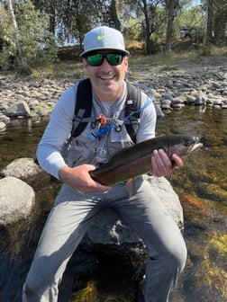 Rainbow Trout Fishing in Hume, California