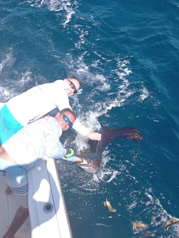 Sailfish Fishing in Playa Flamingo, Costa Rica