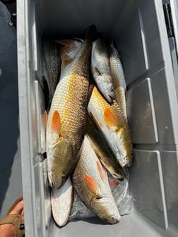 Fishing in Port Aransas, Texas