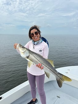 Fishing in Tampa, Florida