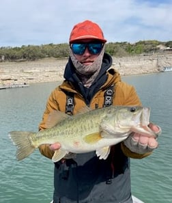 Largemouth Bass Fishing in Austin, Texas